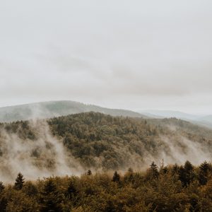 Ślub w plenerze | Altana | Fot. Fujak Fotografia | Wesele na Kocierzu