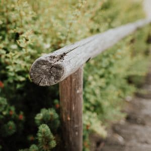 Wesele na Kocierzance | Fot. Fujak Fotografia